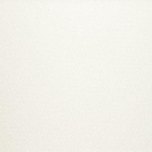 Crescent White Core Colors Alabaster  VE = 25 Bg.