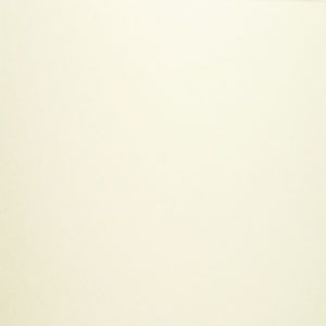 AI 2047 Crescent Conservationboard  Ivory  2,0 mm