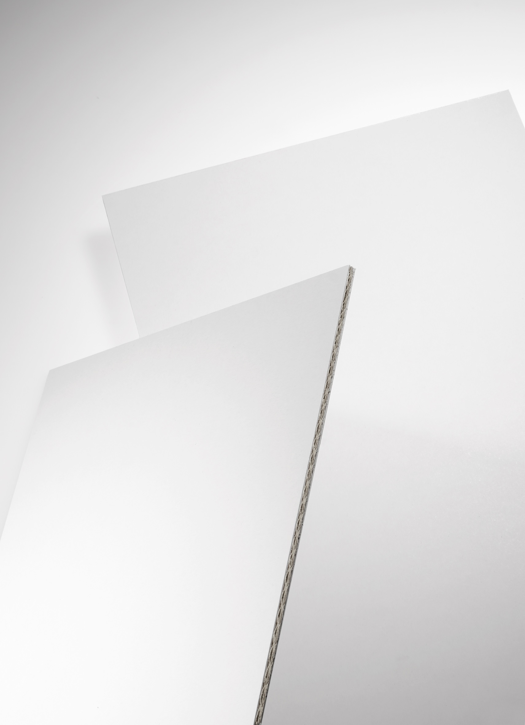 DISPA Papier Displayplatte  weiß  3,8 mm   101 x 152 cm